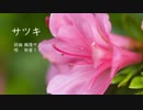 【初音ミク】サツキ【ボカロオリジナル曲】