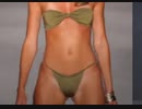 Bikini Swimsuit Lingerie Fashion Show Model #30