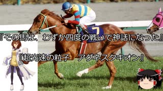 【競馬】ゆっくりさんと未来に語り継ぎたい名馬たち その023【ゆっくり朗読】