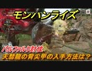 モンハンライズ　バルファルク討伐　天彗龍の背尖甲の入手方法は？　＃６４０【ＭＨＲ】