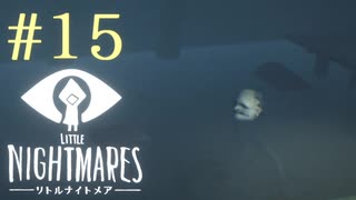 【実況】少年は逃げる､先の見えナイ悪夢から｡【リトルナイトメア】 #15