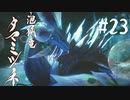 【女性実況】相も変わらず弓使いがひと狩り行くぜ！【MHR】#23