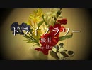 ドライフラワー／優里 歌ってみた ほっきい(cover) 【オク下で】