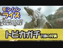 【MHRise】里クエスト★4-5　宙を駆ける白き影（トビカガチ１頭の狩猟）