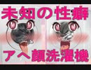洗濯機がアへ顔キメるゲームが未知の世界過ぎた……