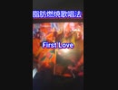 ［宇多田ヒカル　カラオケ］《First Love》〈魔法のダイエット裏技〉（カラオケ）で褐色脂肪細胞を燃焼させながら邪気を排出！【閲覧注意】犬も猫もビックリ！一YouTube一