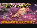 モンハンライズ　淵源の嵐角の入手方法は？　＃６４８【ＭＨＲ】
