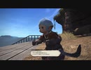 【FF14】つよくてニューゲーム実況 新生編 part３