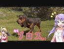 【VOICEROID実況】ゆかマキ、わんこと触れ合う【TheHunter:CotW】