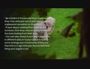 Dog Supplies Online to Ease Ear Infection Symptoms