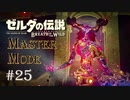新技はやめてぇ～【ゼルダの伝説BotW 作業用実況プレイ】 #25