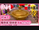 【ポケモン剣盾/DLC1鎧の孤島】ポケモン好きが、初めて種族値・個体値を意識し冒険！【実況】#41