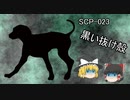 SCPを自分なりに解釈して説明してみる023【黒い抜け殻】