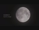 HARBEST「Cold sleep」