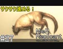 【ニーア　レプリカント#27】おじいちゃんの大切な犬を◯す系RPG【NieR Replicant ver.1.22474487139...】