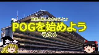 【競馬】POGを始めよう　その６POG本紹介編