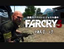 田舎サバイバーとジョエル達のFARCRY3 PART-13