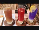 新宿区改代町 ブラック・カルピス600円(オン・ザ・コーナー)CALPICO／Sandichi
