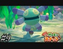 【実況】ポケモンカメラマン爆誕【Newポケモンスナップ】part9