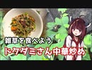 【思い切って野草を食べてみよう】#18 ドクダミさんで「四川風中華炒め」！