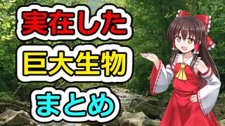 【ゆっくり解説】実在した巨大生物　まとめ(10選)