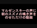 マルゼンスキーの声に朝のスズメの鳴き声を足しただけの動画