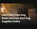 Learn Why Your Dog Barks And How Best Dog Supplies Online Can Help
