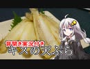 釣れなくても料理！キスの天ぷら 背開き手順付き！【VOICEROIDキッチン】