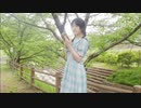 『柴わん』流星ダイヤリー踊ってみた