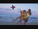 Carakukly - 蝶  כרקוקלי - פרפרים