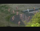 Glass Animals - Space Ghost Coast To Coast