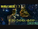 【深世海】第22回　次回こそ進みますが！！今回はまだ探索です！！