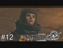 【ニーア・レプリカント】絶望か希望か..妹想いの少年の物語。Part.12【女性実況】