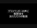 グラスワンダーの声に戦闘音を加えただけの動画