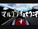 【XSR700】マルゴリ チョモランマ 1【岩手】