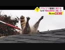 別角度からもう一度……？