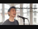 【歌ってみた】Harry Styles - Watermelon sugar