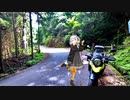 あかりさんのきまぐれ放浪記6　大阪南の方の山道編