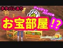 【ルーンファクトリー５】盗賊王のアジト跡に潜入め★【ネタバレあり】