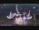 【MHF-Z】極み駆けるナルガクルガ 太刀 9分48秒46 非火事場