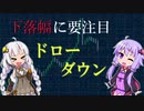 【VOICEROID解説】金の亡者のドローダウンとPF～2021年5月30日【投資】