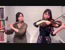 「千本桜」弾いてみた【ヴァイオリン×フルート】一発取り
