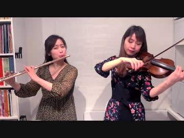 「千本桜」弾いてみた【ヴァイオリン×フルート】一発取り