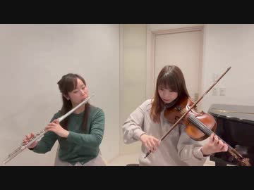 ゼルダの伝説よりメインテーマをフルートとヴァイオリンで演奏してみました