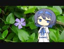 【CeVIO写真】写真を一枚＿14枚目【姫蔓日々草と不死】