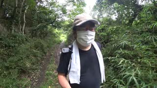 ヌーディストビーチの入口にある素掘隧道