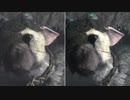 『人喰いの大鷲トリコ』PS4/PS5画質比較
