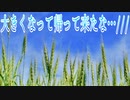 大きくなって帰って来たな…
