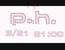5月後半 XFD