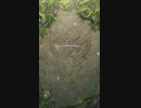 神階アスタルテ　アビサル